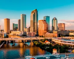 Tampa City View